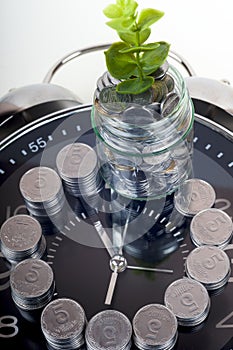 Coins with plant and clock, isolated on white background. savings concept