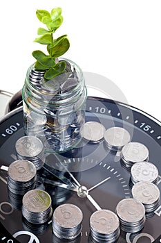 Coins with plant and clock, isolated on white background. savings concept