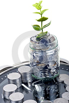 Coins with plant and clock, isolated on white background. savings concept