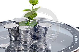 Coins with plant and clock, isolated on white background. savings concept