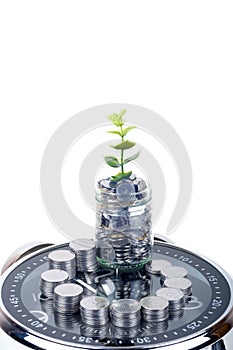 Coins with plant and clock, isolated on white background. savings concept