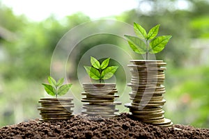 Coins with plant on top put in the soil concept and garden green