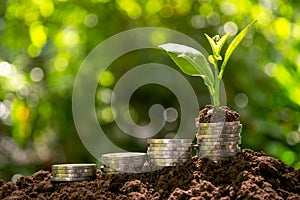 Coins with plant on top put on the soil in green nature background for business growth concept.