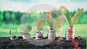 Coins with plants and live stock charts on a multilayered screen
