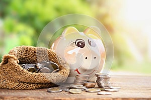 Coins in sack and piggy bank for money saving financial