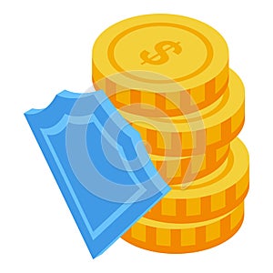 Coins security consumer rights icon, isometric style