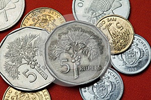 Coins of the Seychelles. Coconut palm (Cocos nucifera) photo
