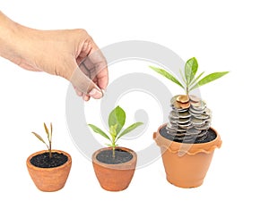 Coins in soil with young plant and human hand