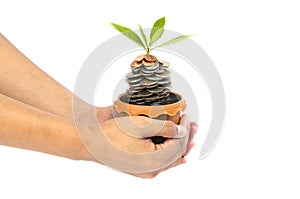 Coins in soil with young plant and human hand