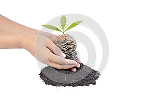 Coins in soil with young plant and human hand