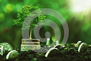 coins stack with step growing plant and sunshine background. concept saving money