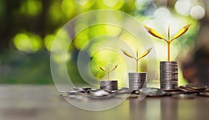 coins stack with step growing plant and sunshine background. concept saving money