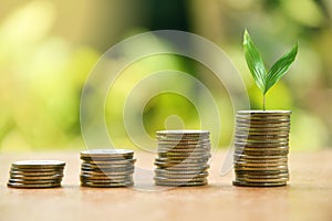 Coins stacked on stairs. Trees grow. Blurred background. The orange glow from the morning sunlight. business growth and marketing