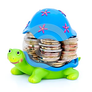 Coins stacked on turtle