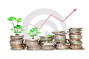 Coins stacks and tree with chart of indicators isolated on white background,Lucky finance business growth concept