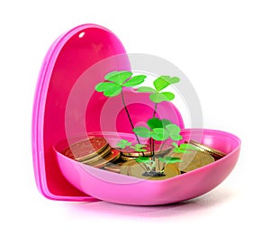 Coins stacks and tree in heart-shaped box isolated on white background,Lucky economic growth concept