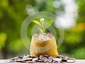 Coins in textile bag on blur background. money saving financial