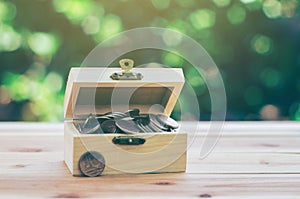 Coins in Treasure Chest indicate savings to buy a home and business growth.