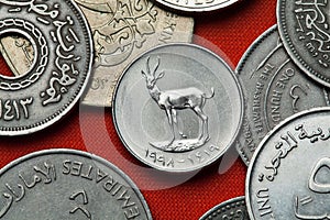 Coins of the United Arab Emirates. Sand Gazelle.