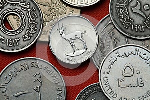 Coins of the United Arab Emirates. Sand Gazelle.