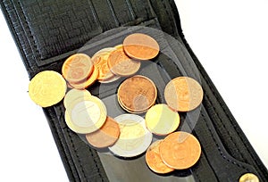 Coins on wallet