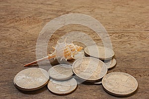 Coins on a wooden floor with shells.