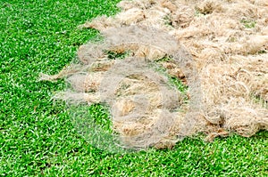 Coir rope made from the plaited husk of the coconut