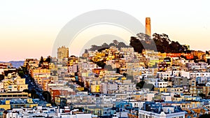 Coit tower and houses on the hill san francisco at dusk