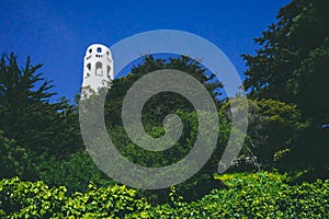 Coit Tower over trees in San Francisco, California, USA