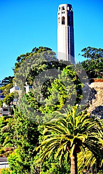 Coit Tower in San Francisco, California