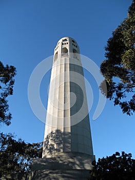 Coit Tower and surrouinding trees in San Francisco