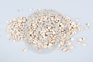 Coix lacryma-jobi : Close-up shot of coix seeds nourishing food for the elderly. on white background