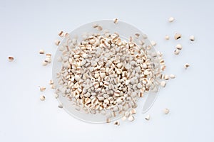 Coix lacryma-jobi : Close-up shot of coix seeds nourishing food for the elderly. on white background