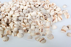 Coix lacryma-jobi : Close-up shot of coix seeds nourishing food for the elderly. on white background