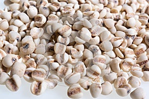 Coix lacryma-jobi : Close-up shot of coix seeds nourishing food for the elderly. on white background