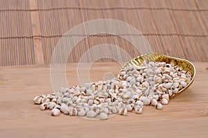 Coix-seed--a traditional chinese medicine