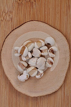 Coix-seed--a traditional chinese medicine