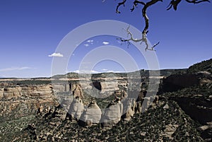 Coke ovens wide angle photo