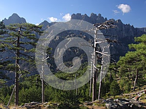 Col de Bavella, Corsica, France