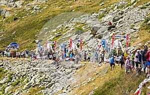 Spectators - Tour de France 2015