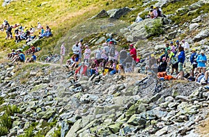 Spectators - Tour de France 2015