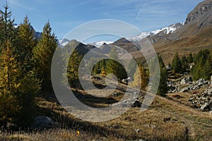 Col de Vars (2110m), Saint-Paul-sur-Ubayne, Alpes-de-Haute-Provence, France photo