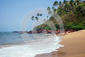 Cola Colva beach in paradise Goa copyspase