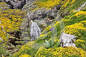 The Cola de Caballo waterfall in the beautiful Ordesa Valley