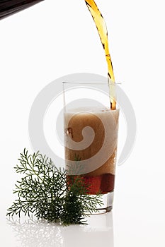 Cola and Southernwood on white background