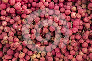 Colan Thai wild fruit.