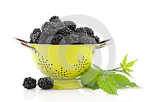 Colander with brambles photo