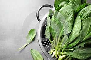 Colander with fresh green healthy spinach on grey table. Space for text