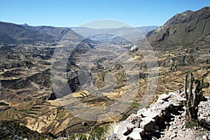 Colca canyon