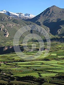 Colca Canyon photo